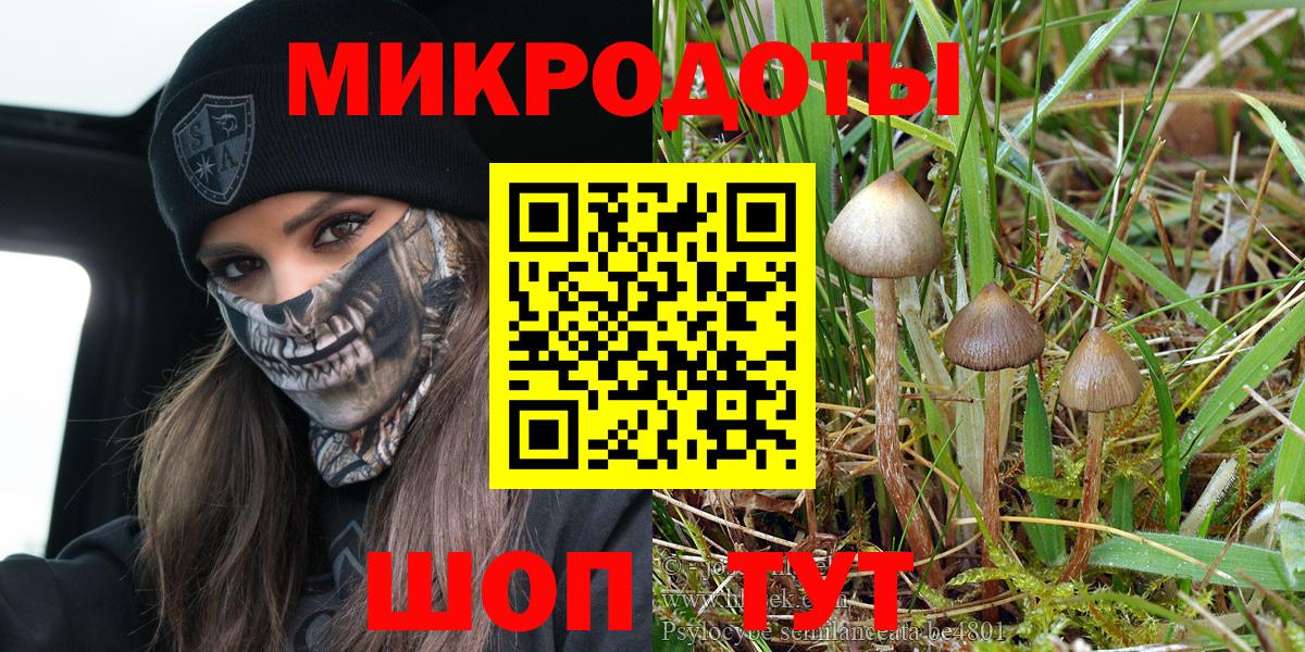 Зерноград  Псилоцибиновые грибы MAGIC MUSHROOMS  Вход с VPN  Галлюциногенные грибы мицелий 
